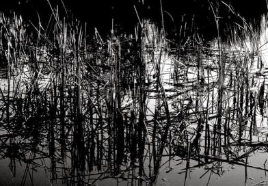 Από τον Ρούζβελτ και τους muckrakers στον Νίξον και το Γουότεργκεϊτ μια χαμένη ευκαιρία