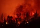 Όταν η στάχτη γίνεται σταθερότητα και η Φύση αποκαλύπτει την Αλήθεια